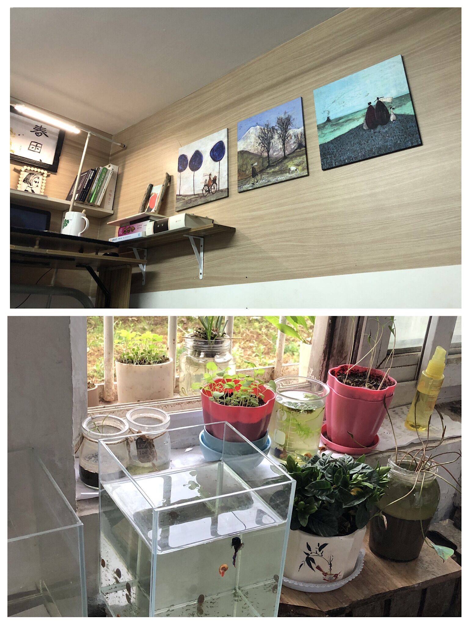 TIM图片20190410172352.jpg
